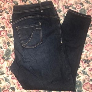 Lane Bryant Skinny Jeans